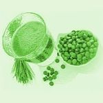 Chlorella